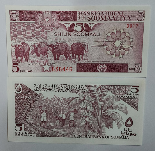 Somalia 5 shillings 1987 UNC P31 - ZealHobbieZ