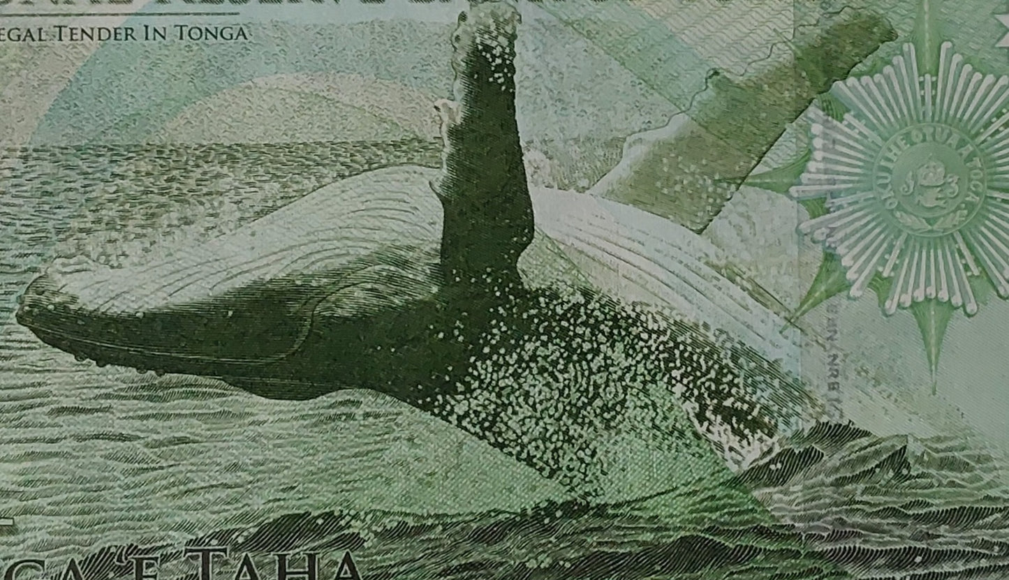 Tonga 1 Paanga 2009 P37 UNC - ZealHobbieZ