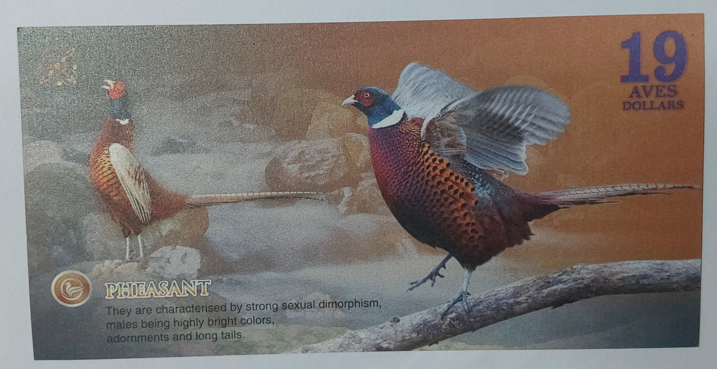 ATLANTIC FOREST 19 AVES DOLLAR UNC - PRIVATE ISSUE UNC - ZealhobbieZ