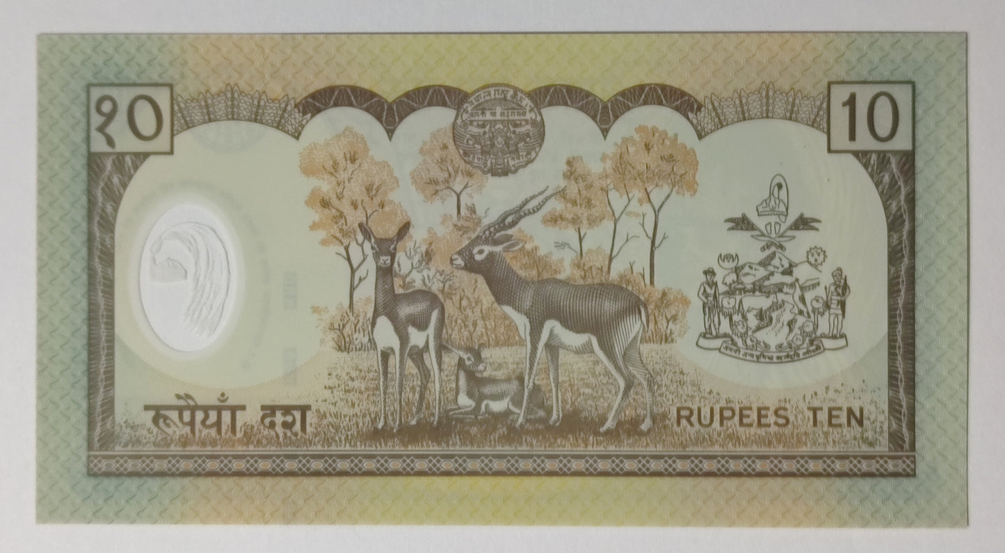 Nepal 10 rupees 2002 P45 UNC Polymer