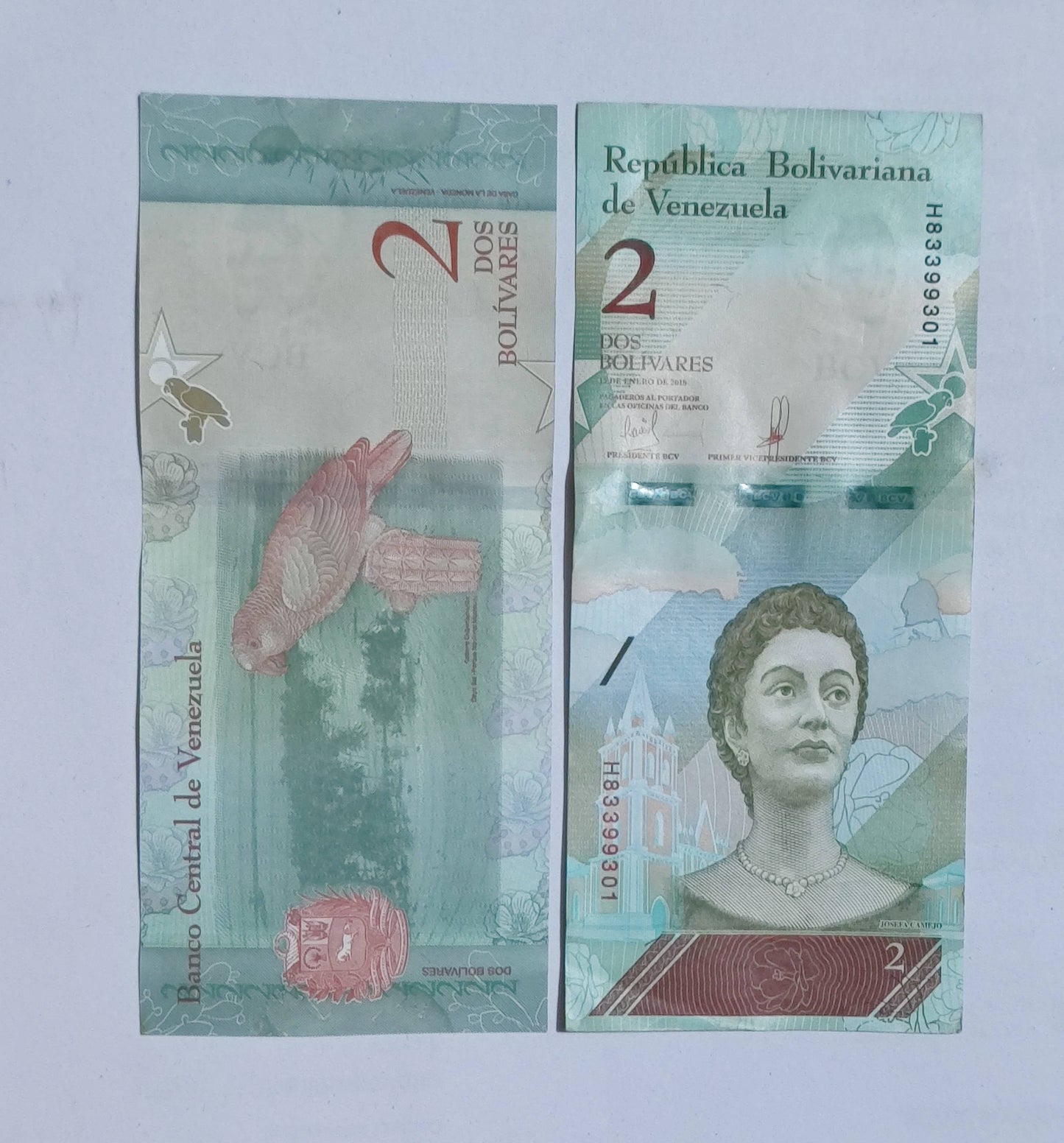 Two Venezuelan bolivar banknotes on a light gray background