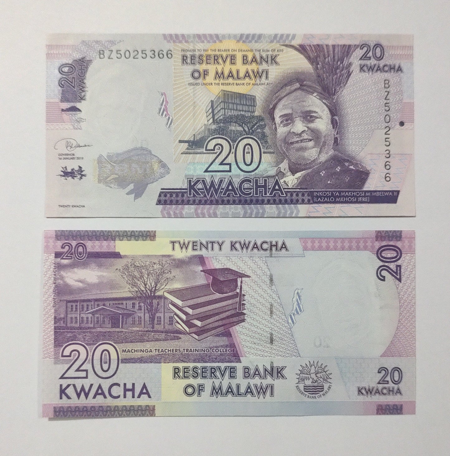 Malawi 20 Kwacha 2019 UNC Banknote - ZealHobbieZ