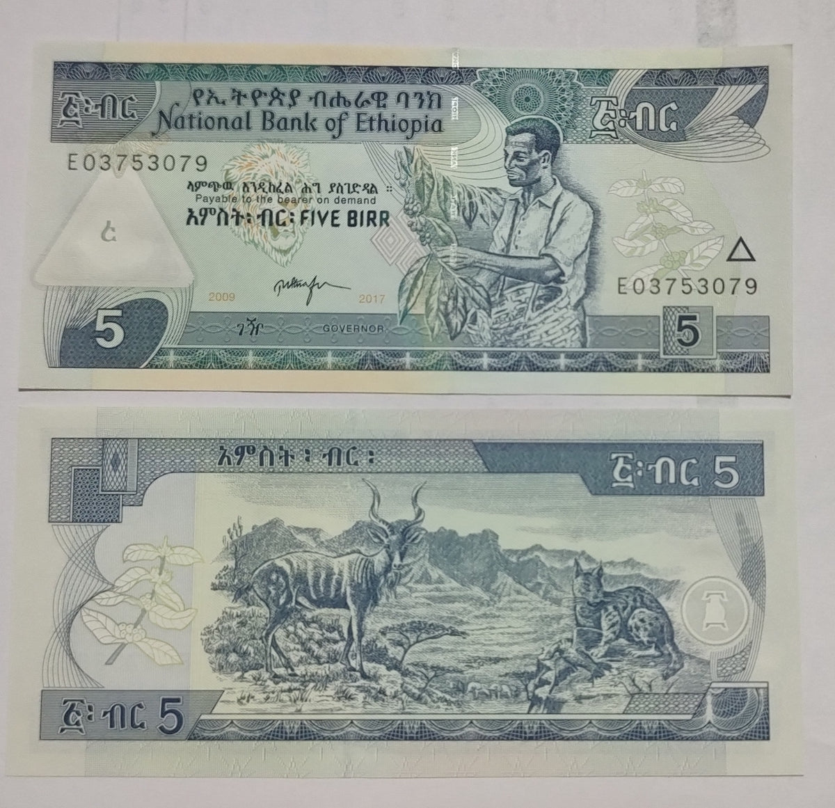 Ethiopia 5 Birr 2017 Banknote P-47 UNC
