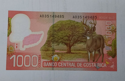 Costa Rica 1000 Colones 2009 UNC Polymer - ZealHobbieZ