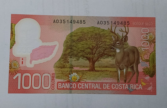 Costa Rica 1000 Colones 2009 UNC Polymer - ZealHobbieZ