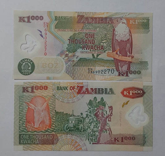 Zambia 1000 Kwacha UNC 2009 Polymer P44g - ZealHobbieZ