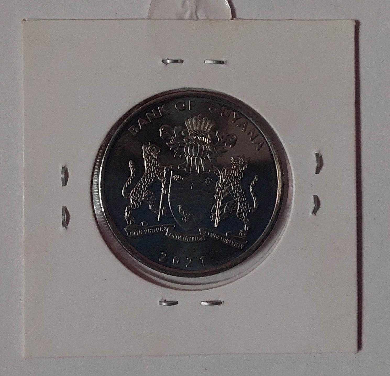 Guyana 100 Dollars world coin - 55 years of independence coloured coin 2021 - ZealHobbieZ