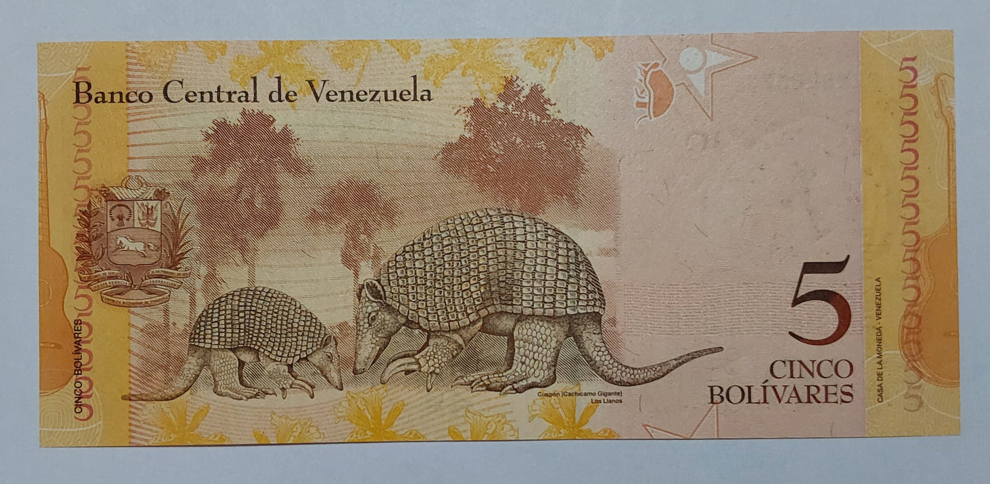Venezuela 5 Bolívares UNC 2013 P89f - ZealHobbieZ