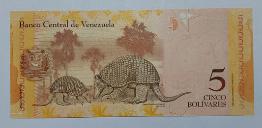 Venezuela 5 Bolívares UNC 2013 P89f - ZealHobbieZ