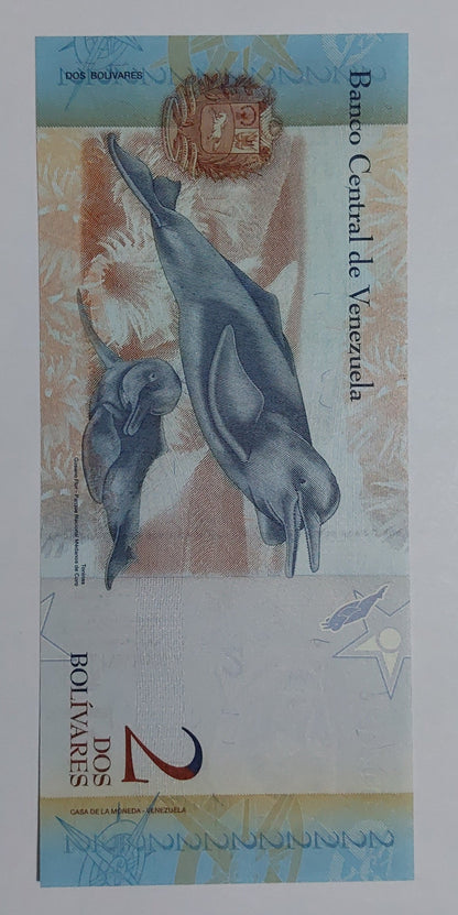 Venezuela 2 Bolívares UNC 2013 P88f - ZealHobbieZ