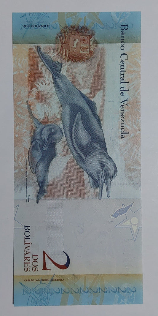 Venezuela 2 Bolívares UNC 2013 P88f - ZealHobbieZ
