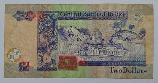 Belize 2 Dollars - Queen Elizabeth II 1999 P60a Heavily Used ending serial no 262 - ZealHobbieZ