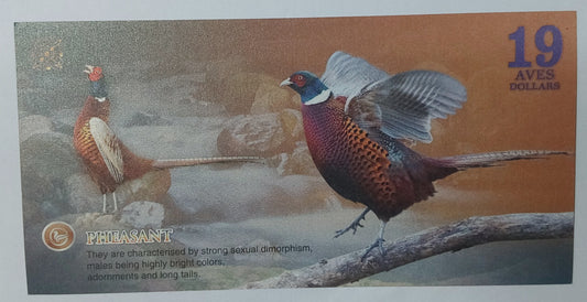 ATLANTIC FOREST 19 AVES DOLLAR UNC - PRIVATE ISSUE UNC - ZealhobbieZ