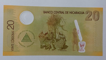 Nicaragua 20 Cordobas 2007 UNC Polymer - ZealHobbieZ