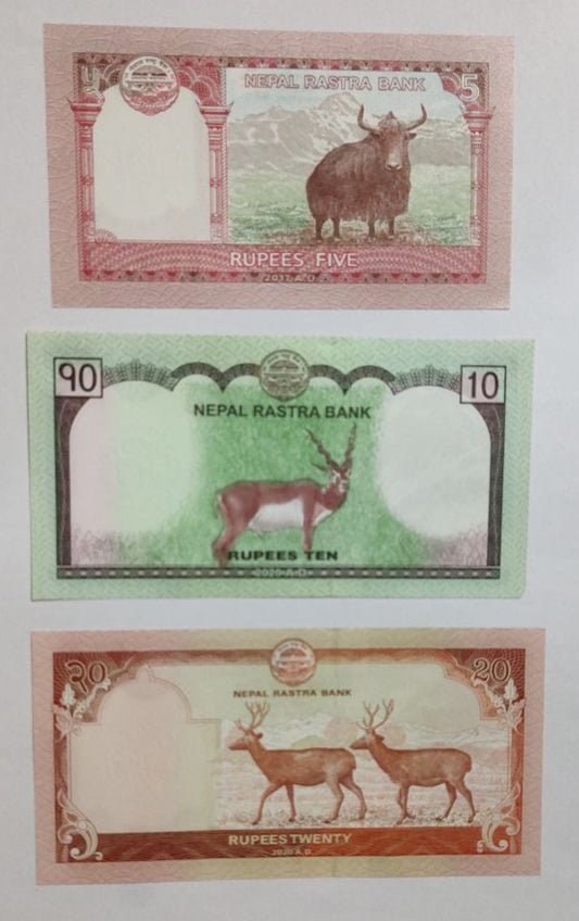 Nepal 5 10 20 note set