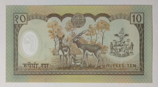 Nepal 10 rupees 2002 P45 UNC Polymer