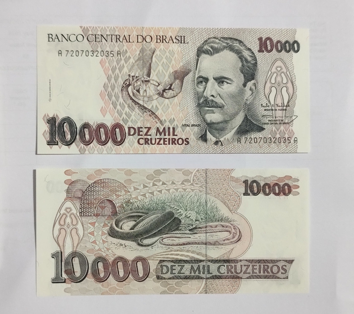 BRAZIL 10000 CRUZEIROS 1993 P233 c UNC