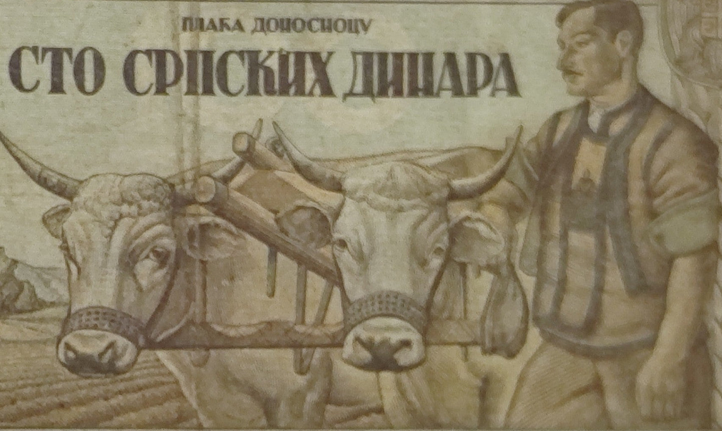 Old Serbian banknote with a farmer and oxen illustration on a white background