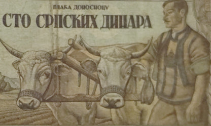 Old Serbian banknote with a farmer and oxen illustration on a white background