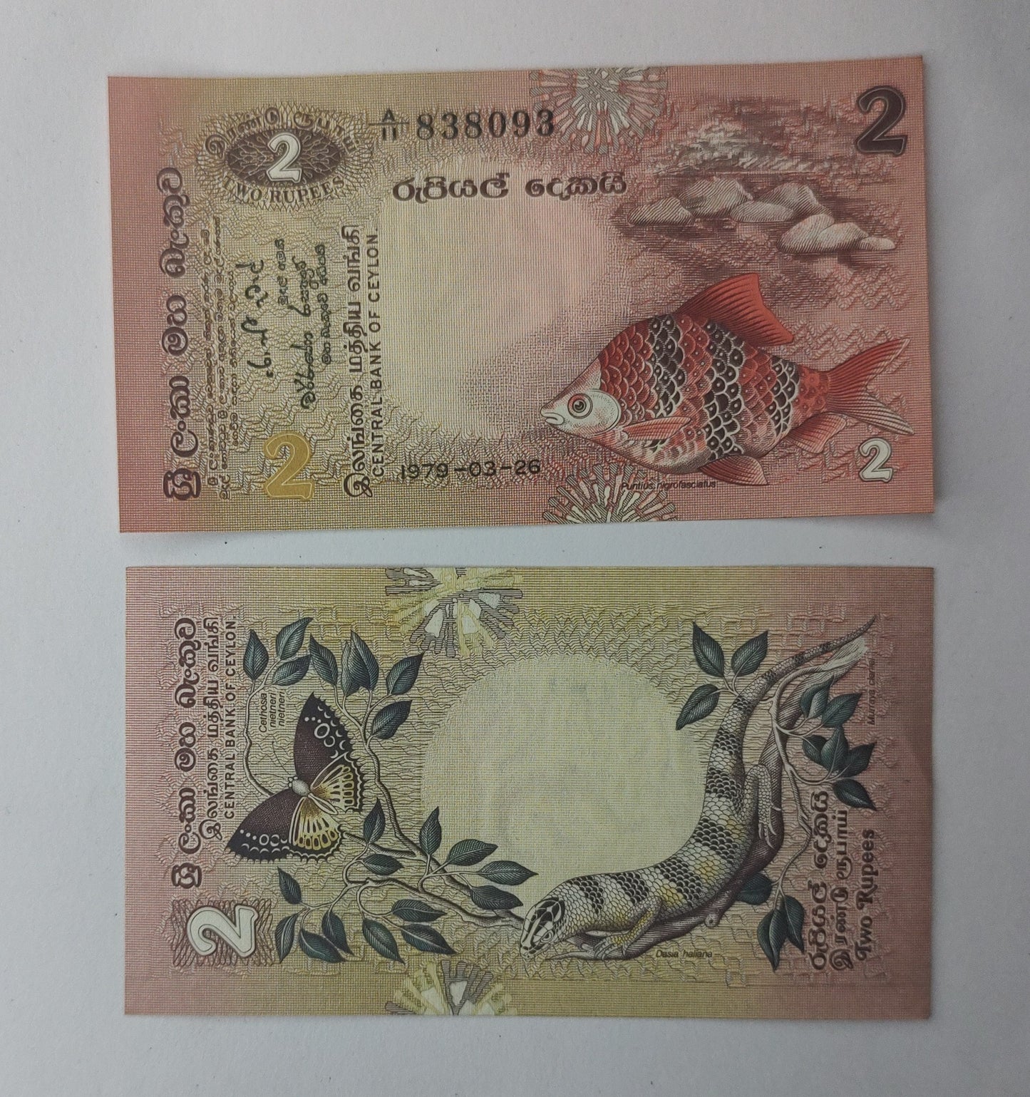 Srilanka 2 Rupees 1979 P83 UNC