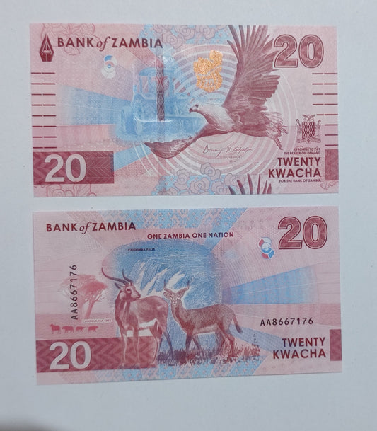 Zambia 20 Kwacha 2024 P63 UNC - World Bank note collection