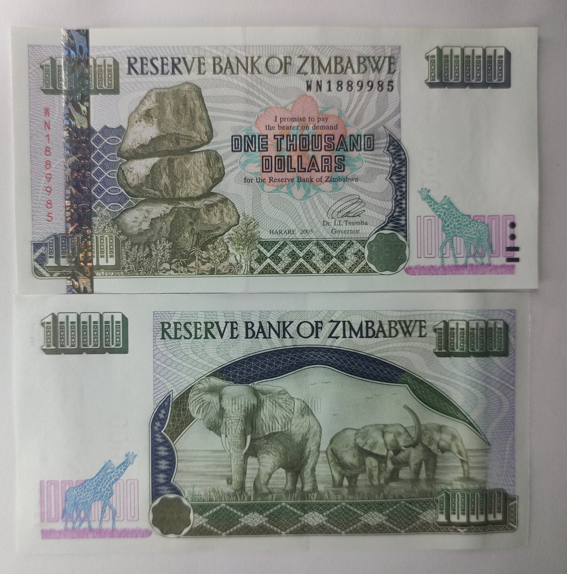 Two Zimbabwean dollar banknotes with rock formation and elephant design on a white background